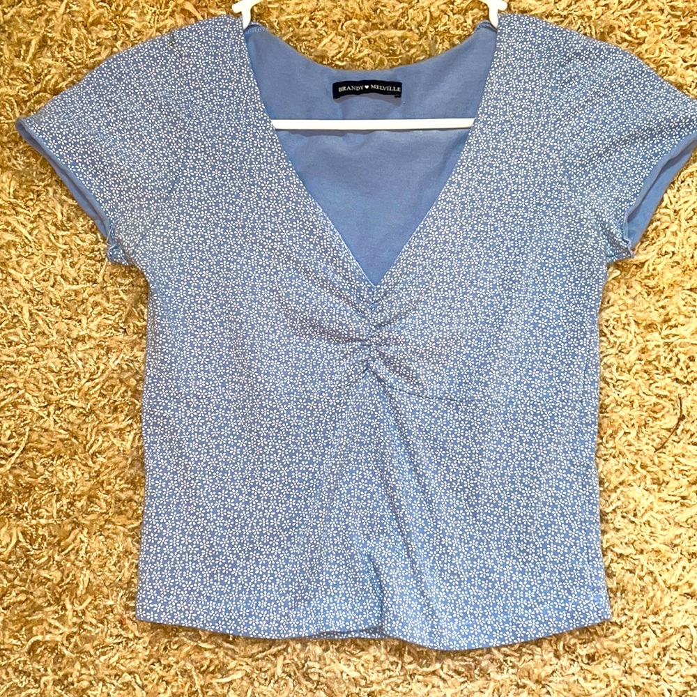 Floral Light Blue Brandy Melville Crop Top